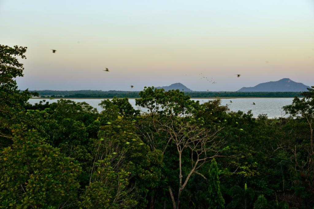 Ceylan Lodge Anuradhapura Bagian luar foto